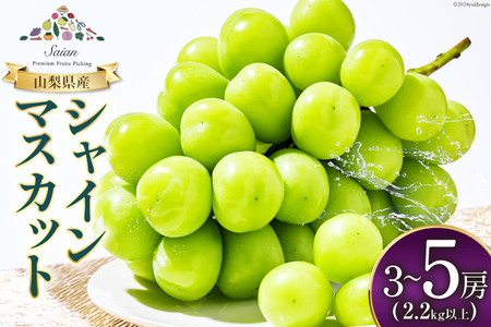 【2026年発送】先行受付 シャインマスカット 予約 3～5房 約 2.2kg 以上 シャイン マスカット 山梨 フルーツ 果物 くだもの マスカット シャイン ブドウ ぶどう 葡萄 種無し 山梨県産 期間限定 季節限定 冷蔵 農福連携 [斎庵 山梨県 韮崎市 20745281]