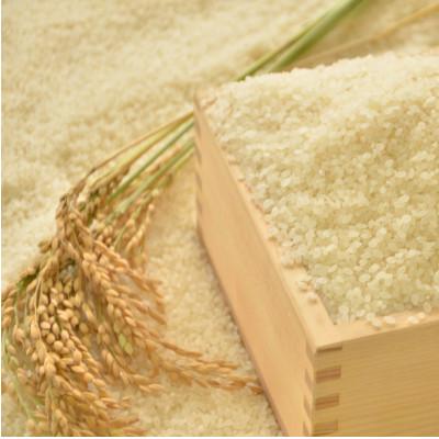 ふるさと納税 いすみ市 【千葉県いすみ市産】コシヒカリブレンド　精米10kg(5kg×2袋) |  | 03