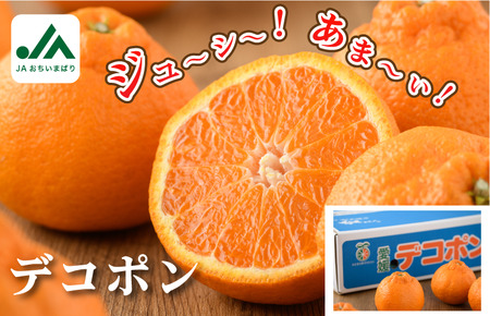 【先行予約】今治産　デコポン L～3L 18～24玉 JAおちいまばり　2月中旬～3月中旬発送 [KB02510]