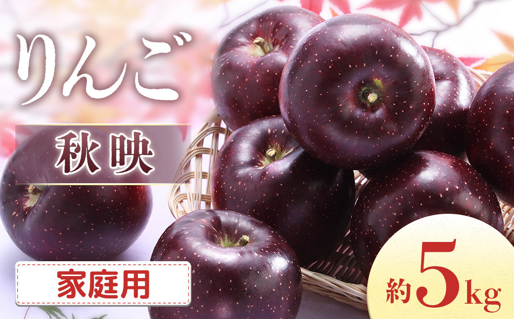 
            【2026年発送先行予約】りんご 秋映 約5kg（10～20玉入り）※家庭用※ ※2026年9月下旬～10月上旬発送予定※
          
