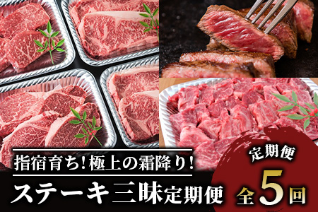 【全５回定期便】 大満足 ステーキ 三昧 定期便 (Meat you/IBZ029-001)  黒毛 姫牛 A4ランク リブロース サーロイン フイレ モモ サイコロステーキ 国産 和牛 牛肉 黒毛和牛