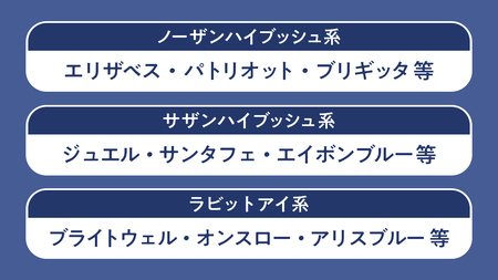 【2025年7月中旬から発送開始】 茨城県産 冷凍 ブルーベリー 合計 500g (250g×2袋) 多品種 果実 果物 くだもの フルーツ おやつ ブルーベリー ベリー ジャム 小分け[DZ003s