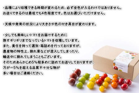 ＜ 8月上旬より発送 ＞ 北海道産 カラフルトマト カラフルミニトマト ミニトマト 1kg #にじいろとまと ＜ 予約受付 ＞