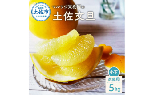 【先行予約】マルツジ果樹園の土佐文旦 家庭用(小玉) 約5kg 5キロ M～Lサイズ 12～16個入り〈2027年2月1日から3月31日頃発送〉/  ぶんたん ブンタン フルーツ 柑橘 みかん 果物 くだもの 柑橘類 デザート お取り寄せ 国産