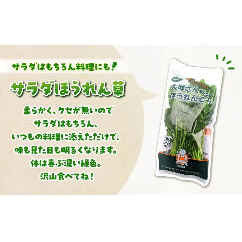 定期便 3回 ホワイトミニセルリー 5袋 ＆ サラダほうれん草 7袋 計36袋 野菜 詰め合わせ 毎月届く 3ヶ月 セロリ ほうれんそう 新鮮 産地直送 野菜セット 詰合せ