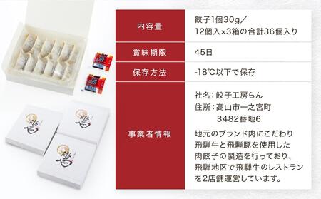 飛騨牛冷凍餃子 3箱（にんにく味）| たっぷり36個！  NL003｜ 高山市 餃子
