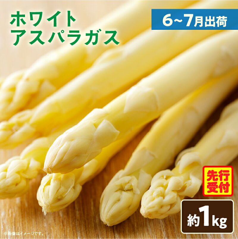 【ふるさと納税】ホワイトアスパラガス約1kg（6～7月出荷） アスパラ アスパラガス ホワイトアスパラガス 旬 野菜 旬の野菜 香川県産 お裾分け 贈り物 食品 人気 おすすめ おいしい シャキシャキ野菜 新鮮 素材の味 夏野菜 直送 ふるさと 香川県 三木町 送料無料