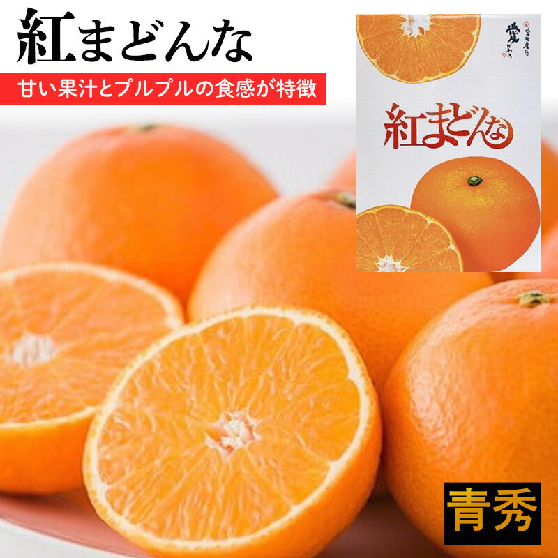 【ふるさと納税】 紅まどんな【JAえひめ中央】 青秀　L〜2Lサイズ（ みかん 柑橘 フルーツ まどんな みかん 愛媛 みかん 紅まどんな 蜜柑 みかん フジ・アグリフーズ ）