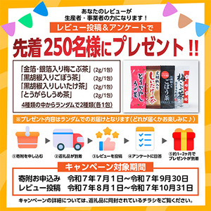 レビューキャンペーン実施中!飛騨牛　厳選赤身(焼肉・BBQ用)600g　A4～A5等級　小分け_肉 焼肉 牛肉 やきにく ヤキニク バーベキュー  肉 飛騨牛 牛肉 うし ビーフ_【配送不可地域：離島