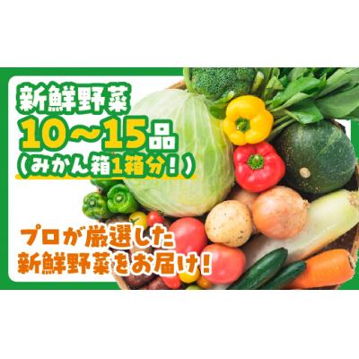 ふるさと納税 山口市 ぶちうま!山口の新鮮お野菜BOX D196