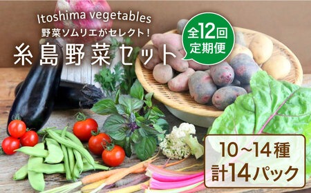 【全12回定期便】旬を味わう 糸島 野菜 セット 10～14種 （14パック） / イタリア野菜 オーガニック 野菜ソムリエ 松永 糸島市 / vegeLabo [AJB003] 野菜 やさい 詰め合わせ セット 旬 イタリア オーガニック 根菜 果菜
