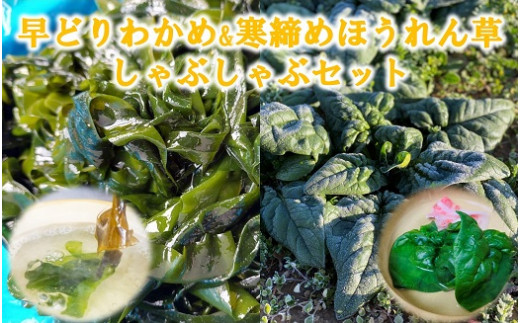 
寒締めほうれんそう＆早どりわかめ 三陸普代しゃぶしゃぶセット
