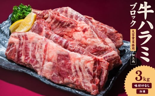 牛ハラミ ブロック 3kg タンブリング加工 牛ハラミ はらみ 牛肉 肉 個包装 冷凍 焼肉 焼き肉 BBQ バーベキュー ステーキ 丼物 簡単調理 炒め物 家庭用 業務用 人気 お取り寄せ 愛媛県 松山市