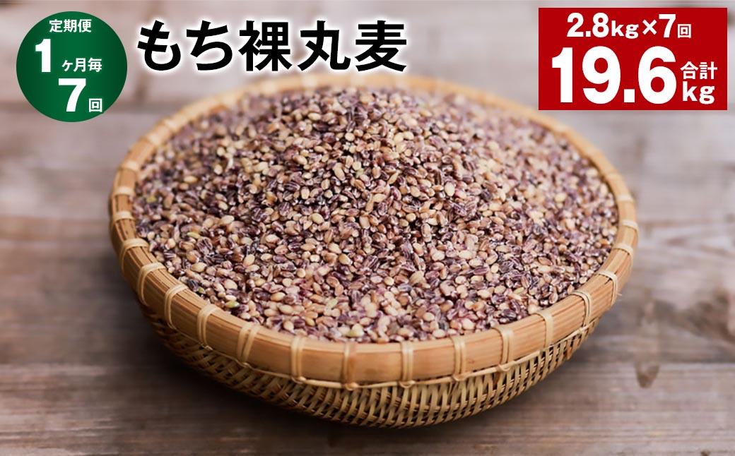 
【1ヶ月毎7回定期便】 もち裸丸麦 計19.6kg（2.8kg✕7回） 麦 もち麦 丸麦 雑穀 大麦
