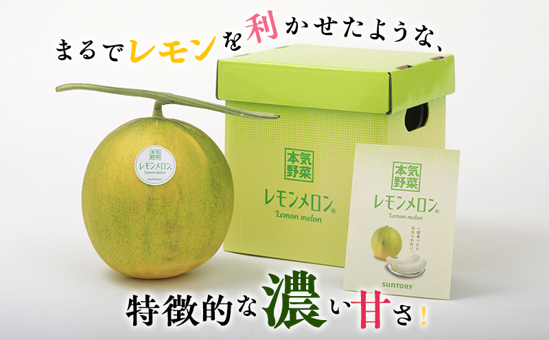 【希少！数量限定先行予約 2026年発送】 レモンメロン Lサイ