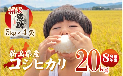 先行予約 令和8年産 コシヒカリ 20kg 特別栽培米 単品 コンテスト 入賞 【 コンテスト 入賞米 米 おこめ お米 ブランド米 ご飯 ごはん オニギリ お弁当 kome 送料無料 数量限定 農家直送 産地直送 国産 川瀬農園 四代目 悠助 新潟 新発田 kwsKH008_01_202609  】　
