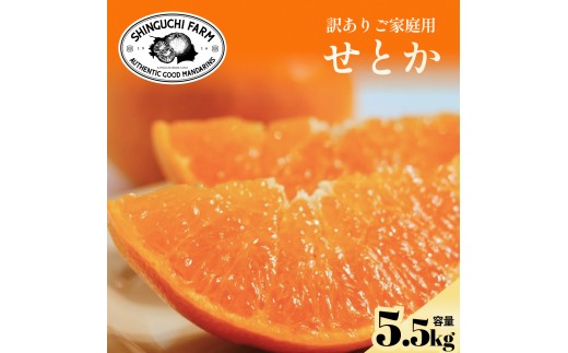 【先行受付】訳ありだけど美味しさそのまま【訳あり】せとか 【D70-157】【1707147】 YWTK156