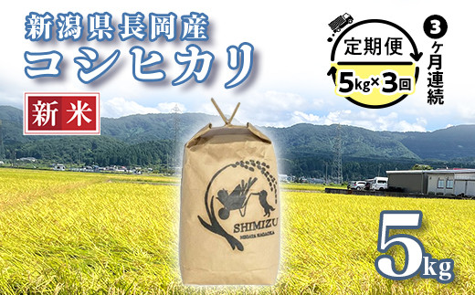 
            N5-053A【3ヶ月連続お届け】新潟県長岡産コシヒカリ5kg
          
