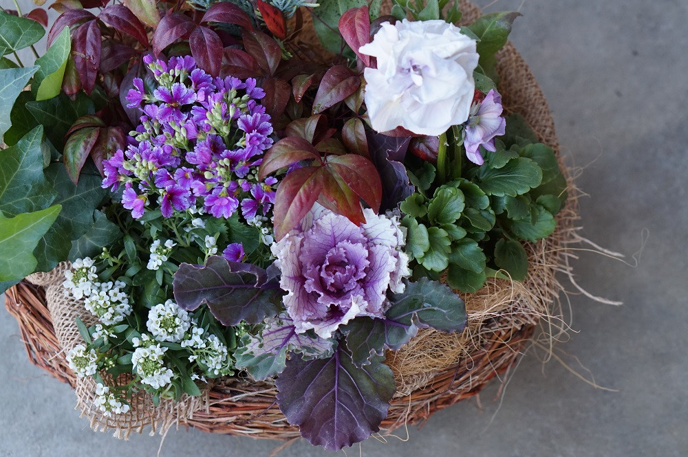 
季節のお花が楽しめる寄せ植え
