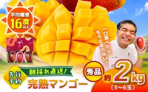 【2026年発送分 先行予約】【数量限定】秀品 菊池マンゴー約2kg（3〜6玉） L〜3Lサイズ　【友枝マンゴー農園】果物 フルーツ マンゴー アーウィン くだもの 旬 期間限定 季節限定 スイーツ 国産 [AYDF004]