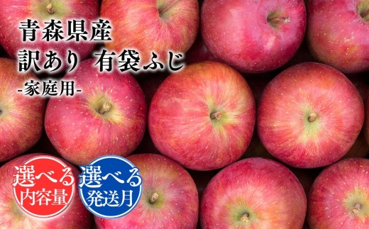 
                  《選べる内容量・発送月》【訳あり】家庭用有袋ふじ【原田青果】りんご  ふじ 林檎 リンゴ 果物 くだもの フルーツ 不揃い 規格外2㎏　3㎏　5kg【hi-0059-004-012】
                