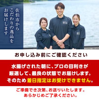 ふるさと納税 佐伯市 ＜定期便・全12回 (連続)＞魚介類定期便 (2-3人前×12ヶ月) |  | 03