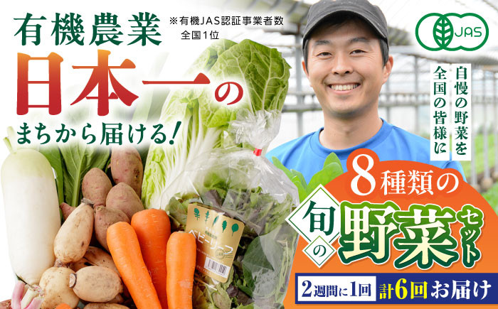 
【全6回隔週定期便】有機野菜 8種セット 野菜 詰め合わせ 熊本県産 山都町産 産地直送 オーガニック【株式会社 肥後やまと】[YAF011]
