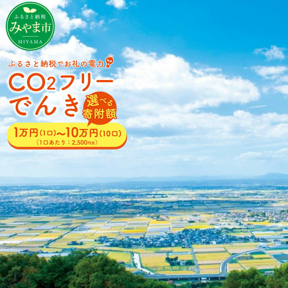 【ふるさと納税】＜選べる寄附額＞みやま市産 CO2フリーでんき（2,500円×1ヶ月分・2ヶ月分・3ヶ月分・5ヶ月分・7ヶ月分・10ヶ月分） 電気料金 電気代 電力 エネルギー 節約 福岡県 みやま市 送料無料 Z1 Z2 Z3 Z4 Z5 Z6
