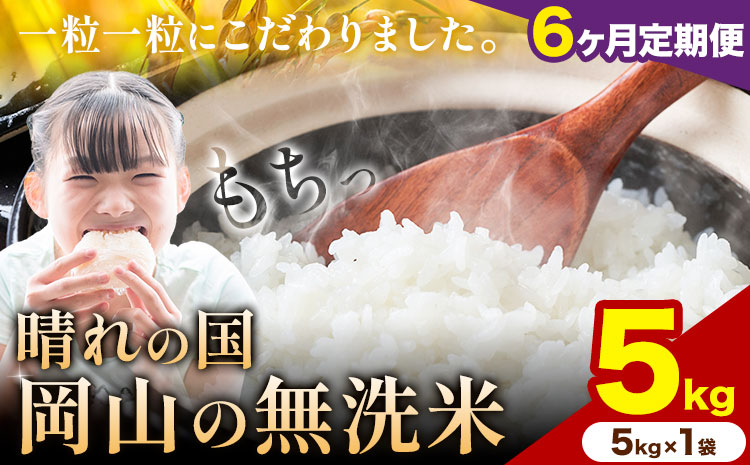 【6ヶ月定期便】晴れの国岡山の無洗米 5kg 岡山県産 矢掛町《申し込み翌月から発送》米 コメ