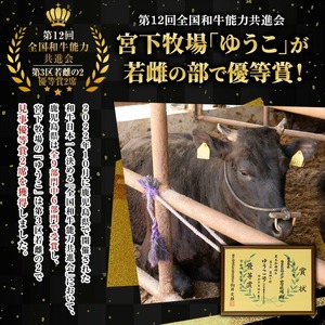 No.1142-A 薩摩和牛切り落とし(500g×1P) 国産 九州産 牛肉 和牛 薩摩和牛 赤身 焼き肉 焼肉 期間限定 切り落とし 切り落し 切落し 冷凍【さつま屋産業】