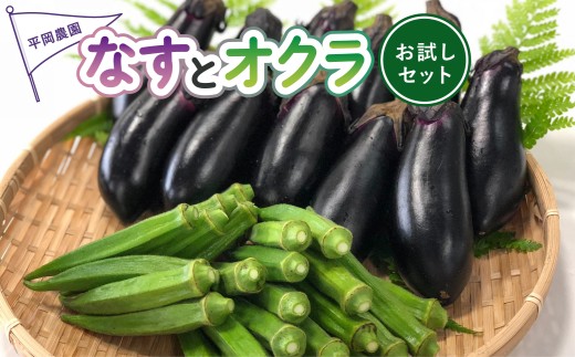 夏野菜 詰め合わせ お試し セット なす おくら 野菜 茄子 ナス オクラ 産地直送 天敵栽培 【2026年7月以降順次発送】