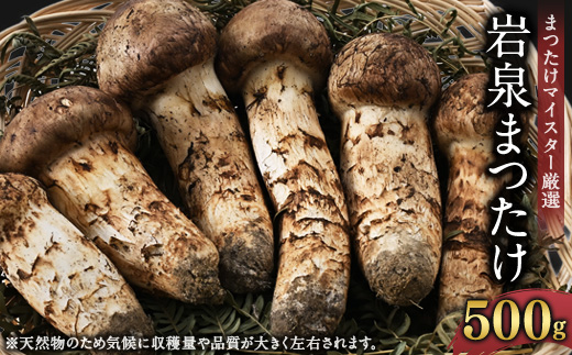 【2026秋発送】岩泉まつたけ 500g【配送不可地域：離島】