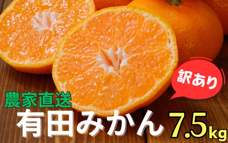 
                  農家直送 有田 みかん 訳あり 7.5kg 光センサー 選別 / 温州みかん 有田みかん 甘い 家庭用 和歌山 柑橘 ※11月中旬～1月中旬に順次発送 ※北海道・沖縄・離島への配送不可 【nuk004-noka-c7d5B】
                