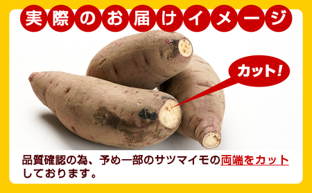 【農家直送】山下農園　熟成紅はるか 10kg_AA-I705_(都城市) 紅はるか 山下農園 さつまいも