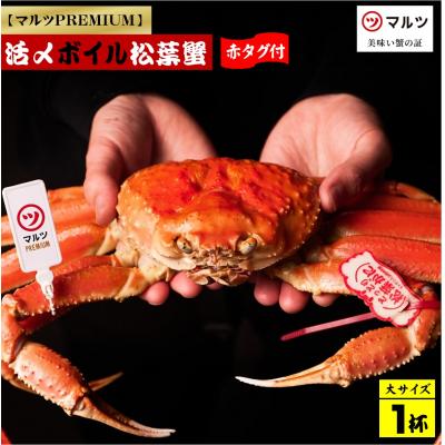 ふるさと納税 米子市 活〆ボイル松葉蟹 900g以上×1杯　【マルツPREMIUM】 |  | 01