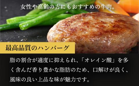 肉のあさひ 登別牛100％使用ハンバーグ 120g×5個[全3回お届け]
