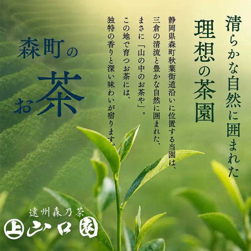 【3カ月ごと4回のお届け】 森の茶上煎茶 かおり 100g×7袋 茶 お茶 緑茶 煎茶 茶葉 森町 静岡県