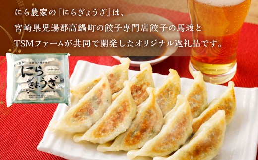 にら農家の ぎょうざ  国産 小分け (10個×3パック) 肉 惣菜 人気 おすすめ 簡単 グルメ 冷凍 豚肉 野菜 加工品