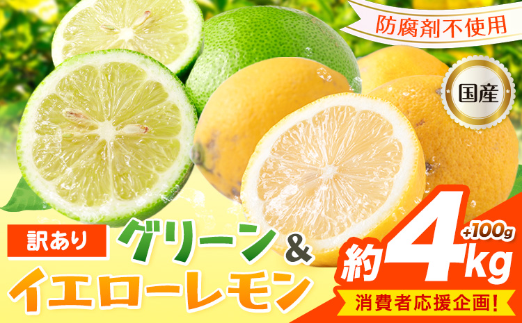 f生産者応援企画！訳あり 国産レモン 約4kg 《10月上旬-1月下旬頃出荷》産地直送 レモン 檸檬 グリーンレモン イエローレモン 防腐剤不使用 果物 フルーツ(f-1)