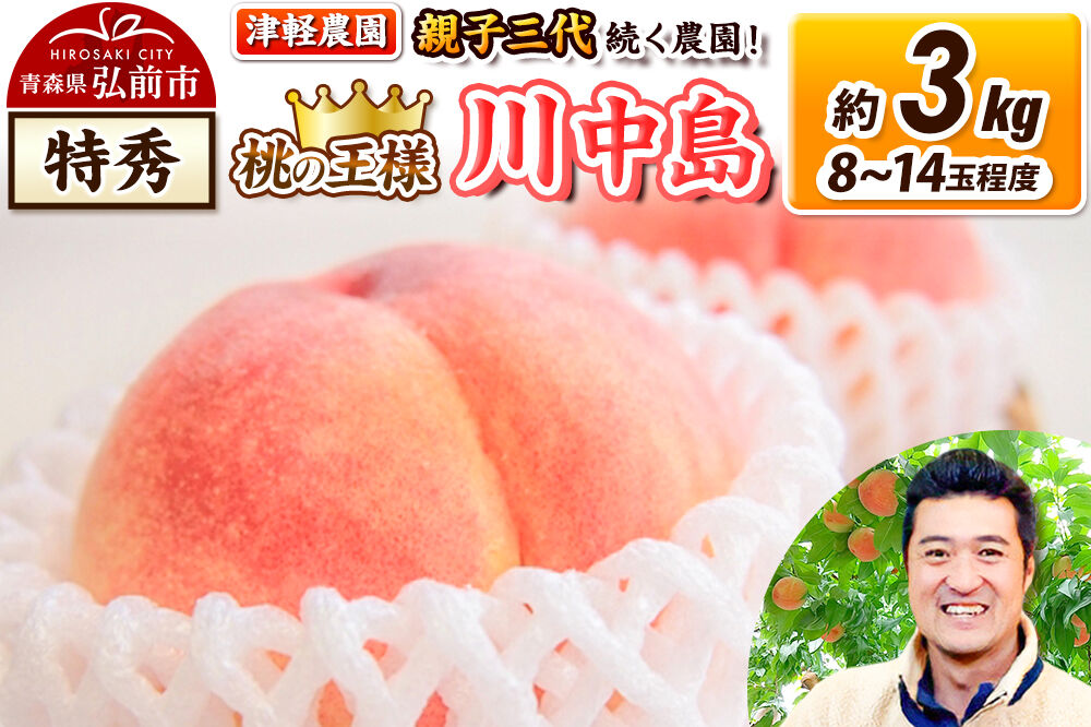 【26年8月発送】桃 約3kg(8～14玉程度) 青森【2026年産 桃の王様 川中島】もも 特秀 果物 フルーツ くだもの 津軽農園 採れたて 農家直送 [おいしい ピーチ フルーツ もも 果実 果