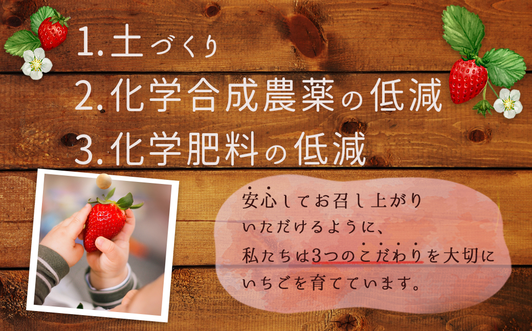 農家直送！ 特別栽培 あまおう 約270ｇ×2パック【数量限定】 3W19
