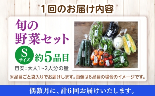 【先行予約】【2027年1月以降発送開始】【全6回定期便】旬の野菜セットSサイズ 島根県松江市/須山農園 [ALBD012]セット 産地直送 詰め合わせ 旬の野菜 旬野菜 野菜詰め合わせ 国産野菜 新