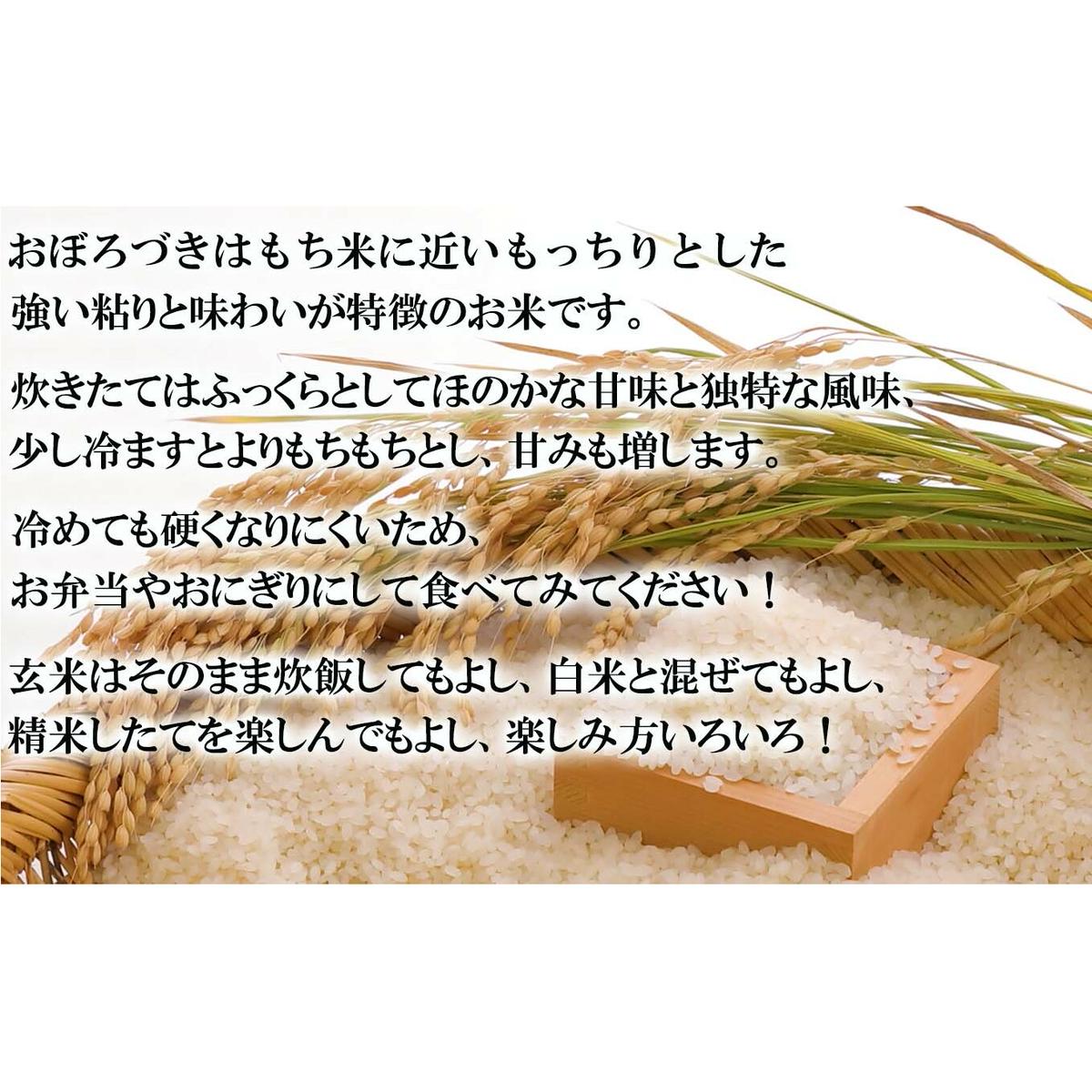 ＜ 10月中旬より発送開始 ＞ 新米 令和8年度産 北海道米 おぼろづき 玄米 10kg ( 5kg×2 ) 北海道 新ひだか町 ＜ 予約受付 ＞_イメージ2