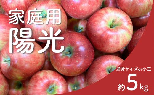 
            りんご 陽光 家庭用（通常サイズ or 小玉） 約5㎏ / 10月中旬頃～配送予定 // 長野県 南信州 リンゴ 林檎 ようこう 訳あり 自家用 農家直送 農家支援 産地直送 KR31 KR42
          