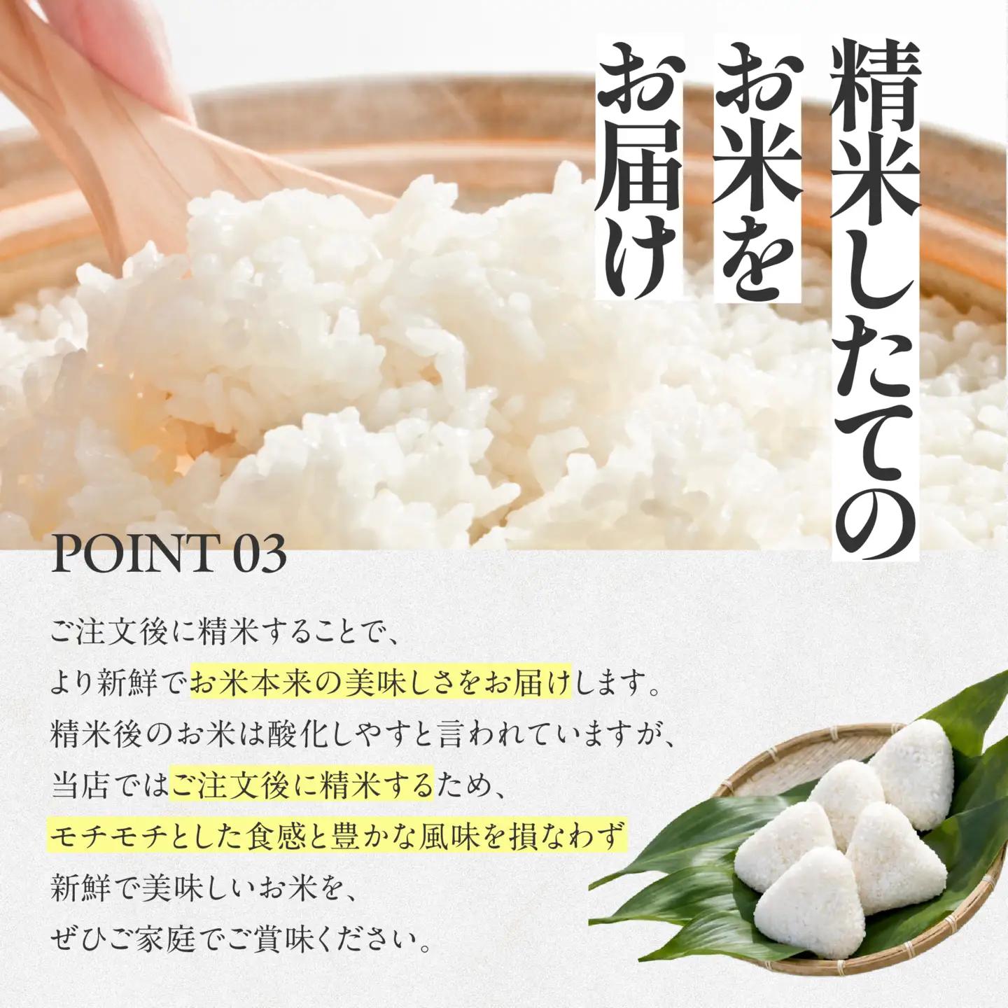 【コシヒカリ】令和7年産 白米20kg【5営業日以内に発送】