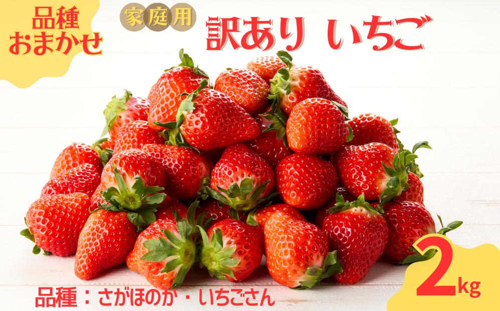 ★予約受付★平川いちご農園【2月～5月 順次配送】玄海町産いちご（家庭用・訳あり）2kg ／ 送料無料 いちご さがほのか いちごさん 希少 果物 くだもの フルーツ デザート 予約受付