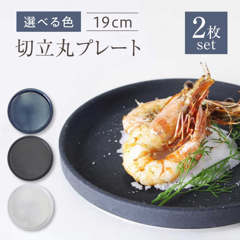 【ふるさと納税】【選べる3色】【瀬戸焼】切立丸プレート(19cm) 2枚セット【ヤマハツクリタ株式会社】 / 食器 和食器 丸皿 / 瀬戸市[BBDV025]