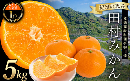高級ブランド 田村みかん 5kg【予約】※2026年11月下旬頃-2027年1月下旬頃に順次発送予定(お届け日指定不可)/ミカン 有田みかん ブランドみかん 柑橘 果物 フルーツ 旬 先行 みかん みかん みかん 予約【uot504B】