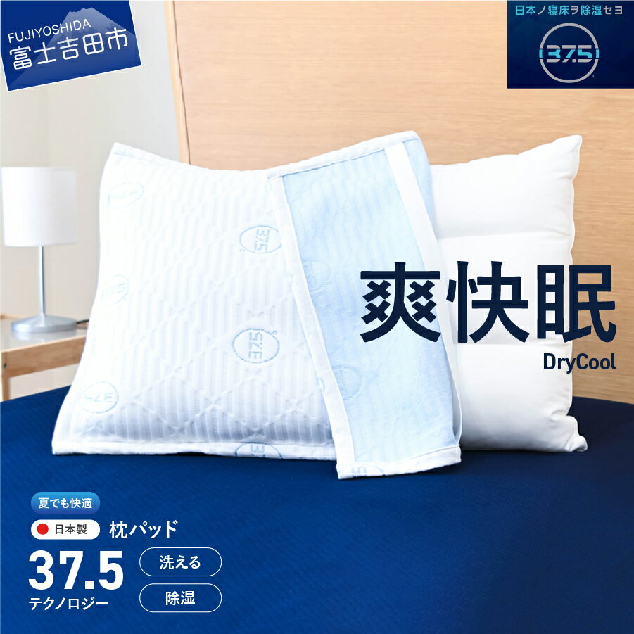 【ふるさと納税】 枕パッド 約43×63cm 日本製 洗える 除湿 クール 快適 寝具 枕 枕カバー ピローカバー 洗濯可 国産【爽快眠】DryCool枕パッド