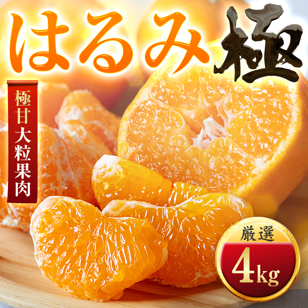 【先行受付】【果汁あふれる】とろ甘食感 はるみ　4kg　愛媛県産【49-121】【1741171】 YWTZ090